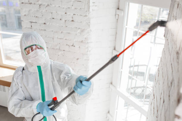 Best Industrial Mold Remediation  in Wood Ridge, NJ