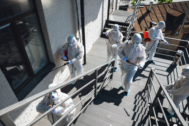Best Mold Prevention Services  in Wood Ridge, NJ