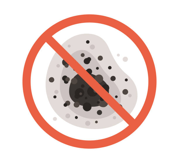 Best Air Quality Testing for Mold Spores  in Wood Ridge, NJ