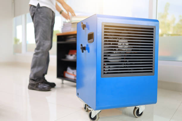 Wood Ridge, NJ Mold Removal Company
