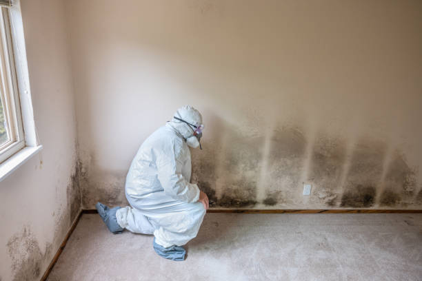 Best Crawl Space Mold Remediation  in Wood Ridge, NJ