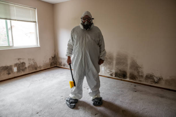 Best Environmental Consulting for Mold Prevention  in Wood Ridge, NJ